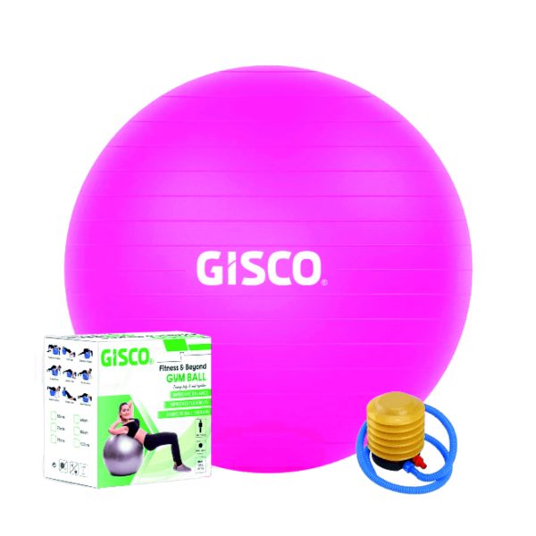 GYM BALL 65CM DIA WITH PUMP & BOX