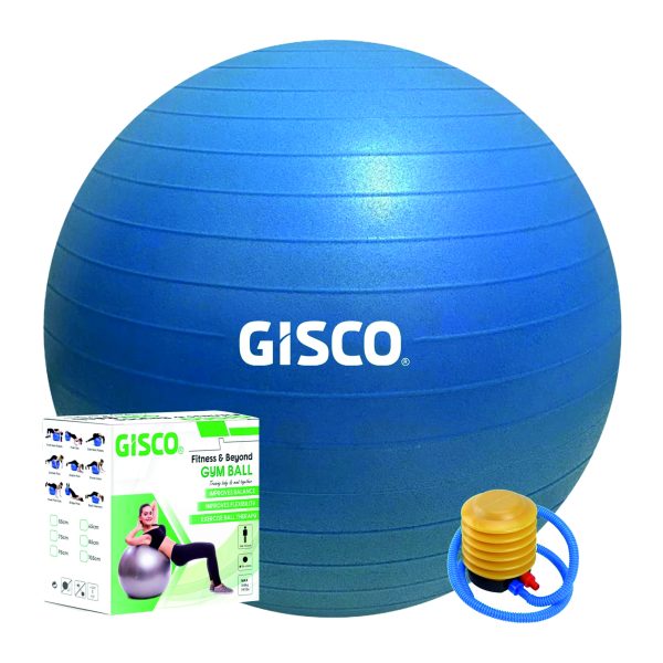 GYM BALL 65CM DIA WITH PUMP & BOX ASSORTED COLOURS
