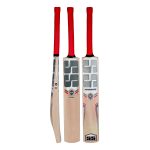 SS CRICKET BAT KASHMIR WILLOW RANGER
