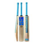 CRICKET BAT KASHMIR WILLOW VINTAGE BOLT