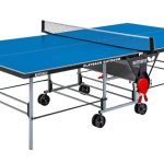 TABLE TENNIS TABLE BUTTERFLY PLAYBACK ROLLAWAY OUTDOOR