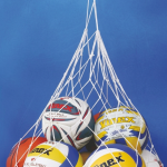 BALL CARRYING NET VINEX Blue & white